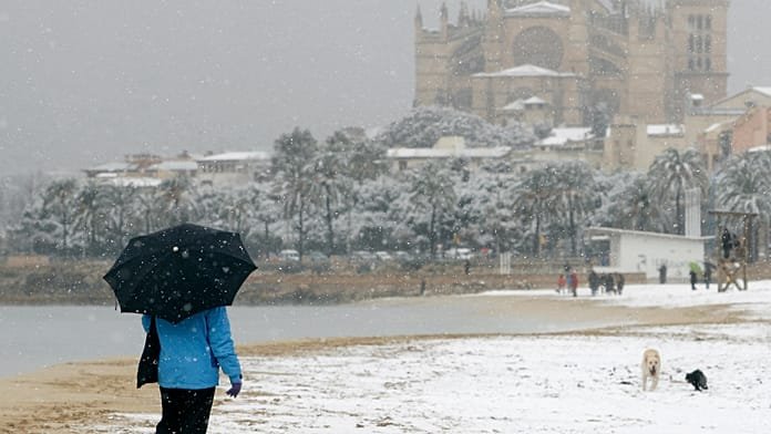 Nieve bajo palmeras: ¿es Mallorca un buen refugio invernal?