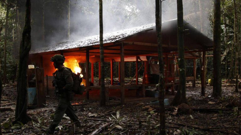 Colombia: confirman la muerte de siete menores en bombardeo a disidencias de las FARC