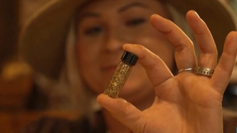 Estados Unidos: se reaviva la fiebre del oro entre turistas y aficionados en California