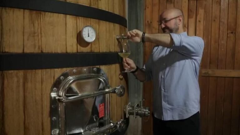 Resiliencia y vino: los viñedos de Líbano resisten guerra, sequía y crisis económica