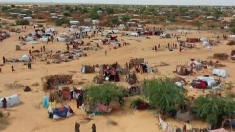 Secuestros, violencia étnica y masacres: los testimonios de los desplazados de Al-Fashir