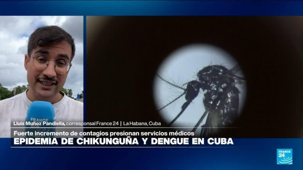Informe desde La Habana: epidemia de chikunguña y dengue en Cuba