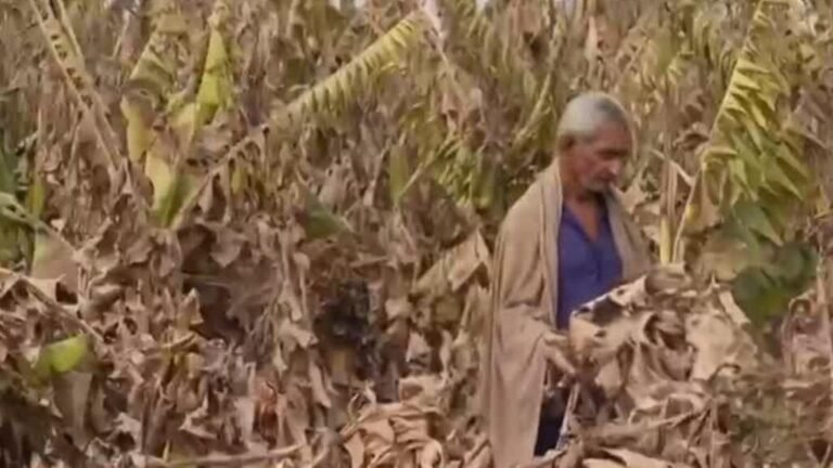 COP30: aumento de temperatura global agravaría la inseguridad alimentaria