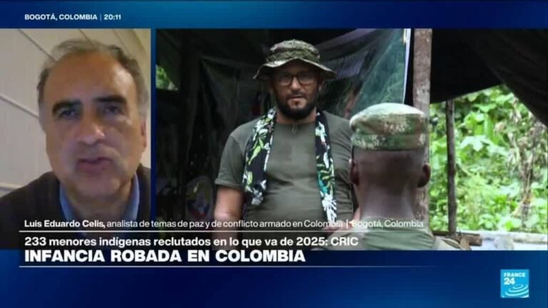 Luis Eduardo Celis: "Hay que contener a las guerrillas, pero los bombardeos causan muchos daños"
