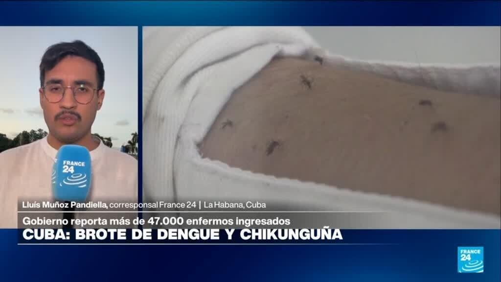 Informe desde La Habana: brote de dengue y chikungunya en Cuba