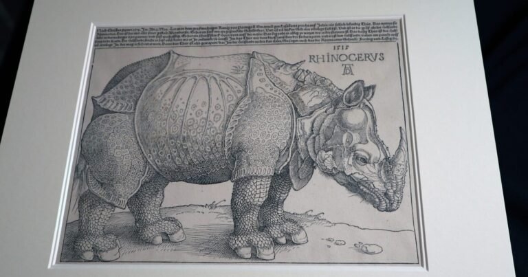Encuentran en Praga un original olvidado del 'rinoceronte' impreso por Durero en 1515