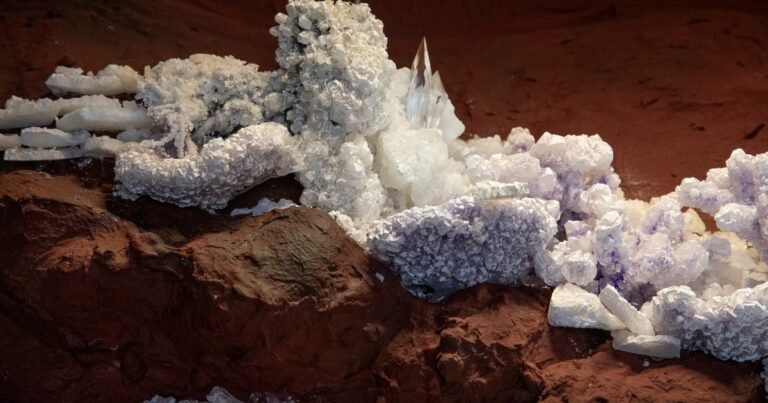 El artista misionero Andrés Paredes homenajea a la cosmovisión guaraní en el Museo Sívori