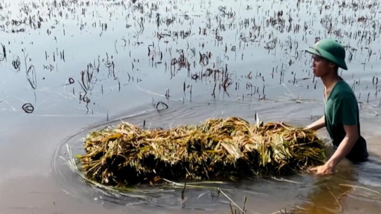 En Vietnam, el delta del Mekong se ve amenazado por el aumento del nivel del mar