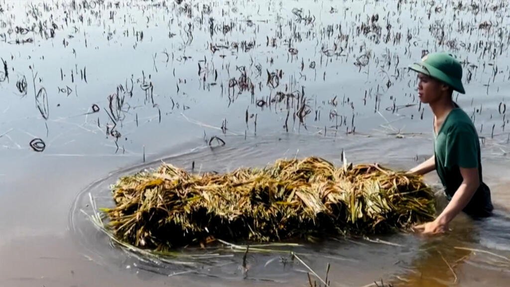 En Vietnam, el delta del Mekong se ve amenazado por el aumento del nivel del mar