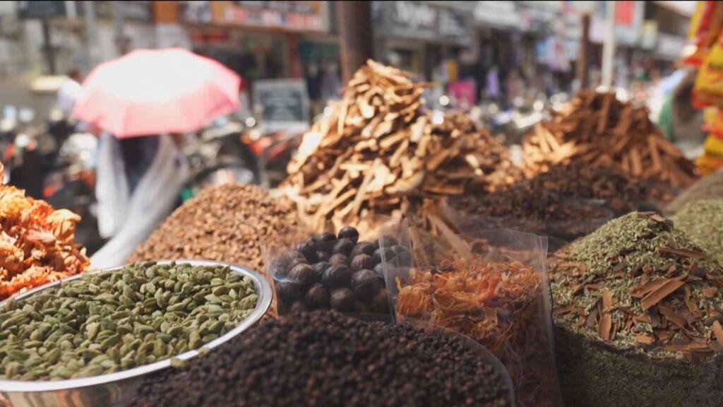 Explorando la ruta de las especias de la India: un viaje de mil sabores por Kerala