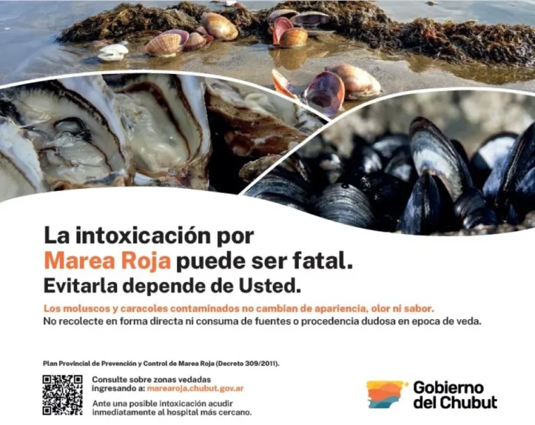 Marea roja en Chubut: Conocé cuáles son las zonas con vedas