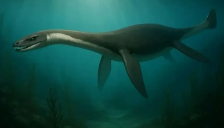 Un elasmosaurio patagónico de talla reducida reescribe la historia marina del Cretácico