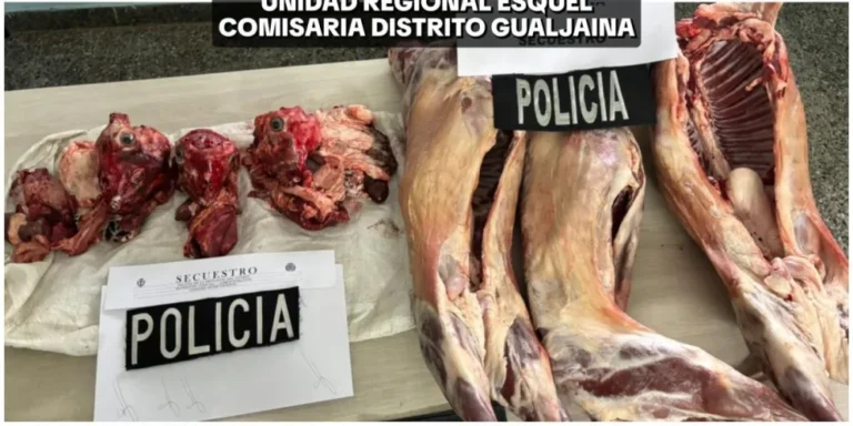 Recuperan chivitos robados en Gualjaina tras denuncia por deuda