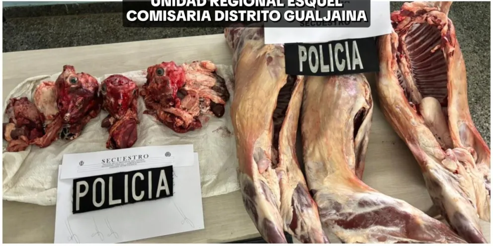 Recuperan chivitos robados en Gualjaina tras denuncia por deuda