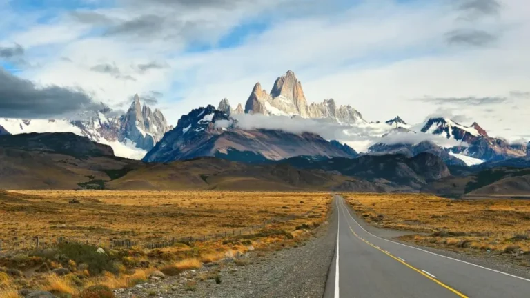 Amigos de la Patagonia, en alerta ante el riego de incendios forestales en la región