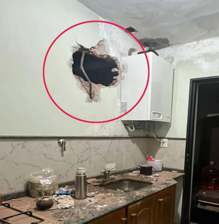 Reaparecieron los boqueteros y la Justicia vuelve a estar en la mira