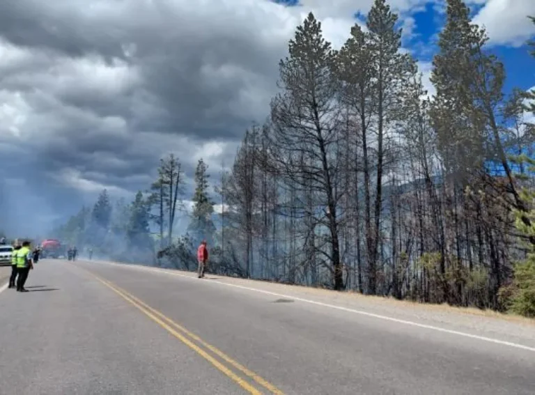 Incendio de interfase en El Bolsón 