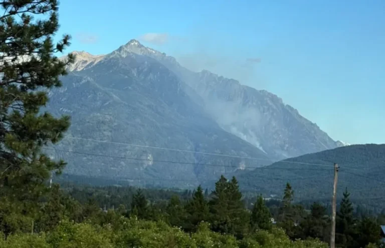 Incendio en El Pedregoso: el fuego continúa activo y esperan más viento este miércoles