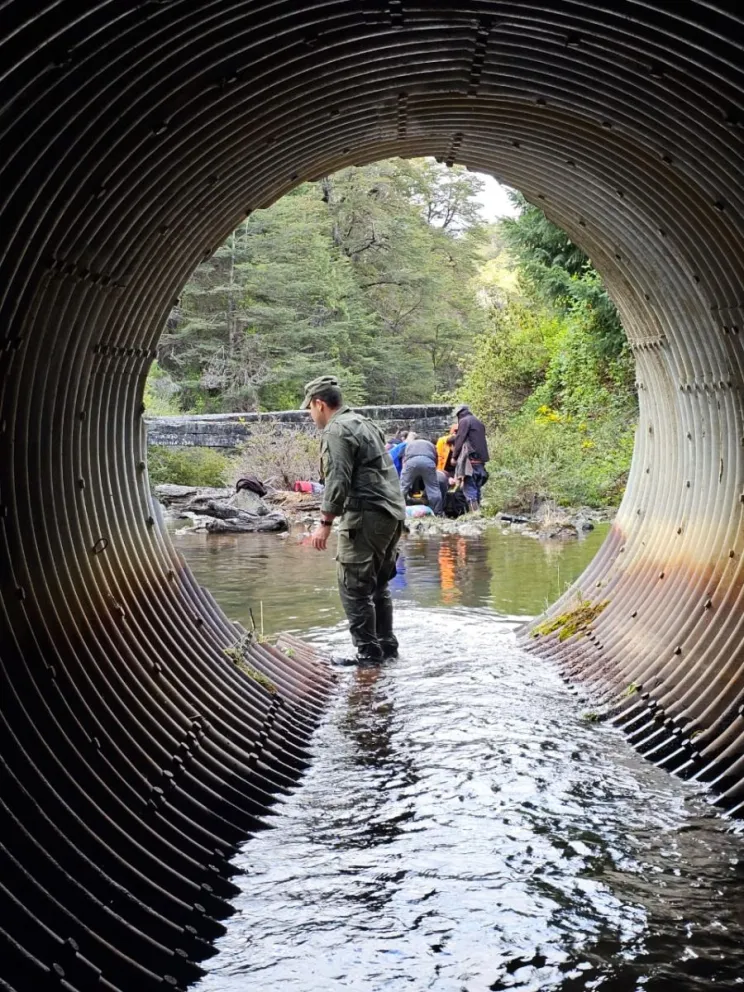 Accidente en Ruta 40: Despiste y caída de un vehículo al arroyo Guillermo