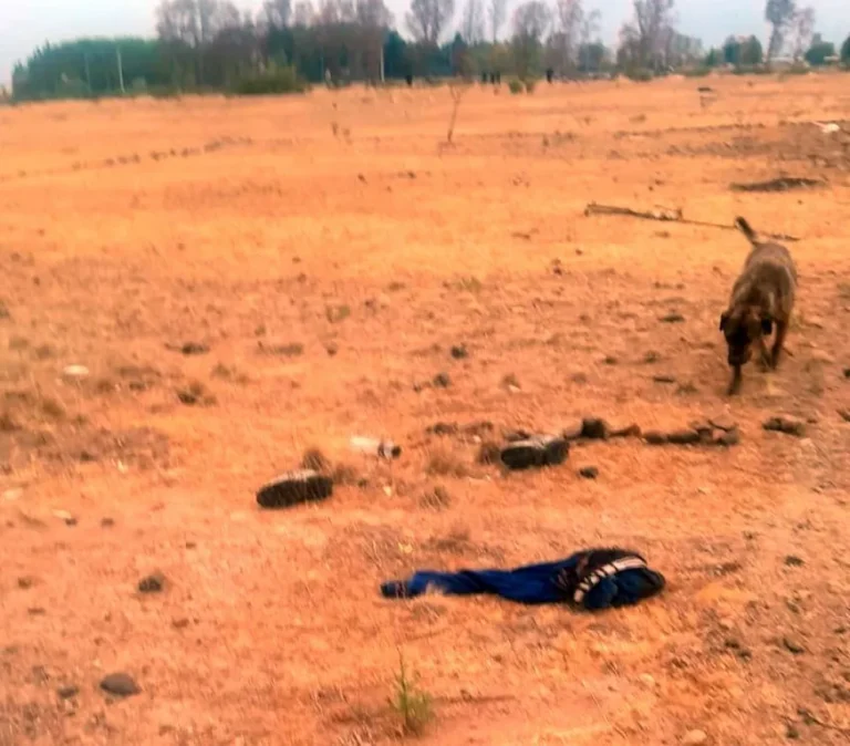 Convicto desaparecido: hallan en el descampado un calzoncillo, un pantalón y zapatillas manchadas con sangre