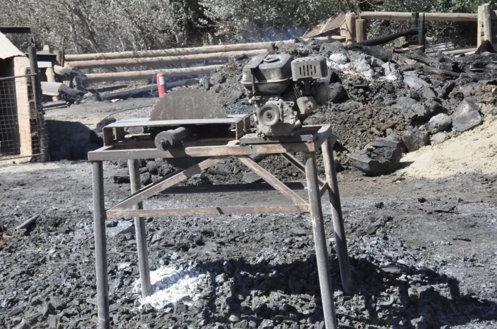 Unos 100 animales muertos y pérdidas millonarias tras el incendio de Km 14