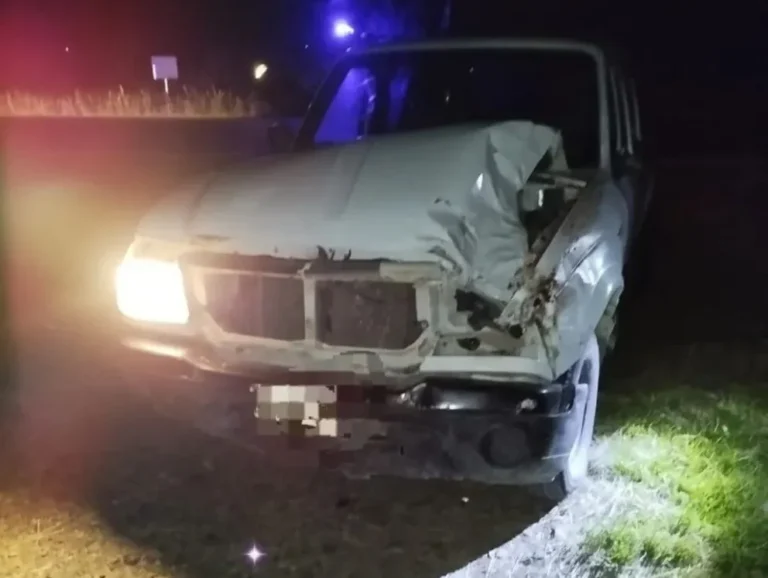 Una familia chocó con un caballo en la Ruta Nacional 259