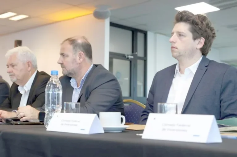 Activa participación de Chubut en la Jornada de Desarrollo Urbano Territorial impulsada por el CFI