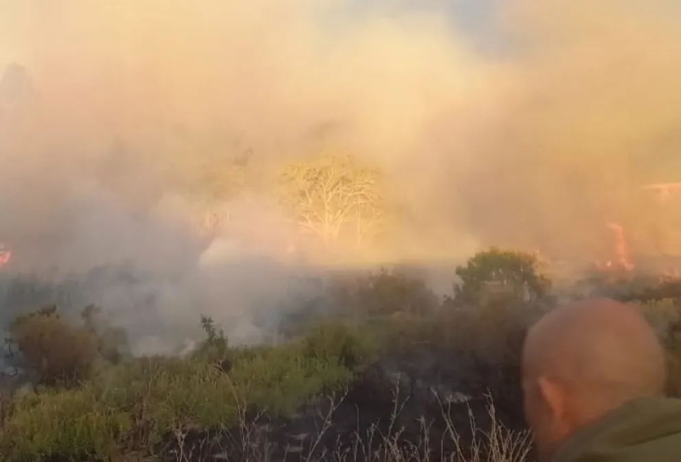 Bomberos combate incendio una chacra en el Cordón Forestal