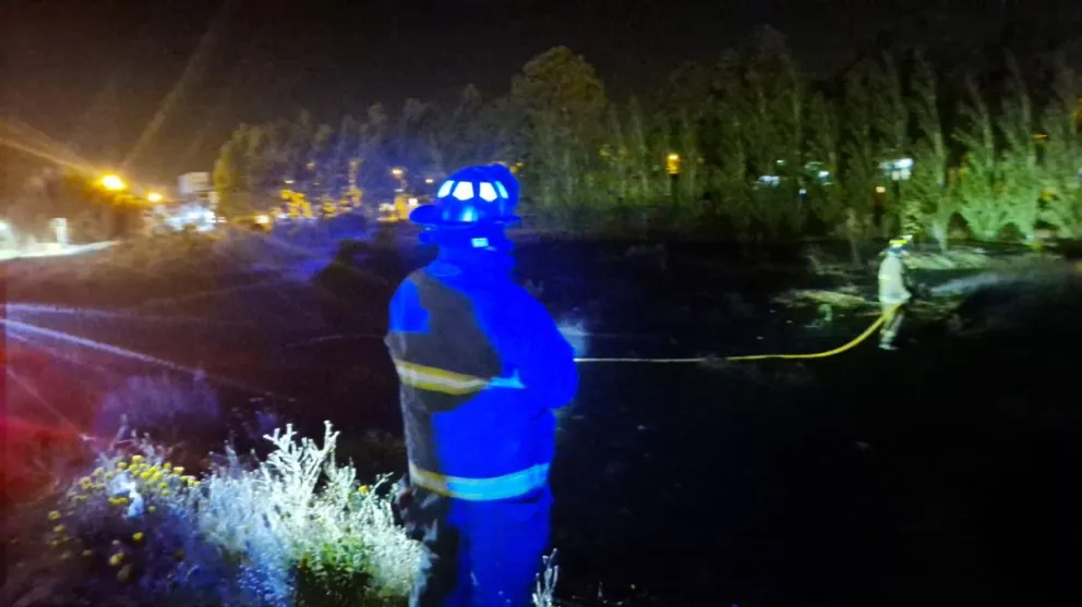 Jugaban con bengalas y provocaron un incendio en el Parque de los Pioneros de Palazzo