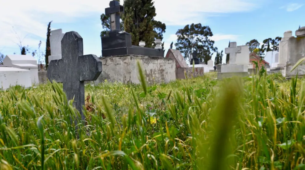 Cremaron a su mamá por error y nunca figuró en el cementerio: demandan a la Municipalidad