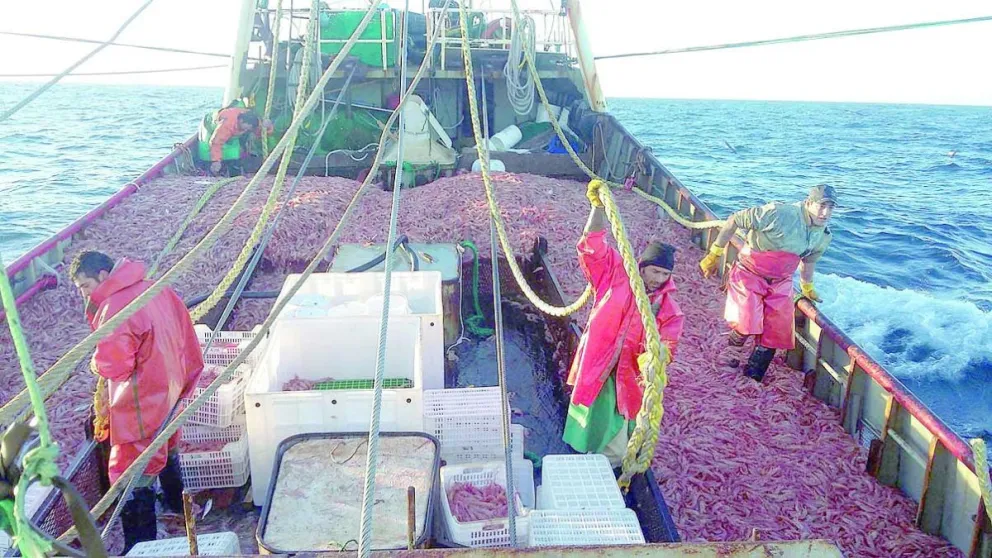 Pesca: Provincia se reunió con los gremios y garantizaron la paz social y el inicio de la actividad