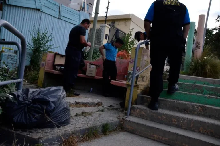 Prisión preventiva para el que baleó a un joven y a un perro en el pasaje Venter