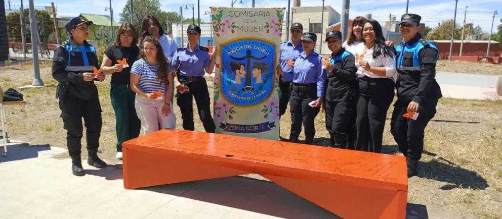 25N: Las comisarías de la mujer de zona norte y zona sur pintaron bancos naranjas