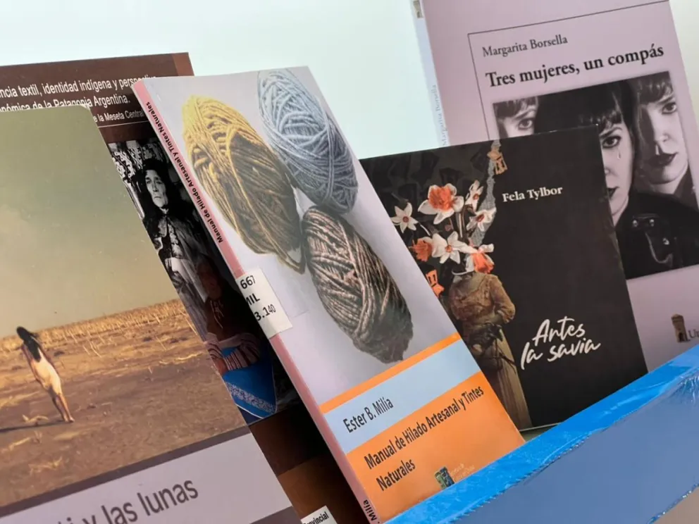 Chubut extendió el plazo de recepción de obras del Fondo Editorial Provincial