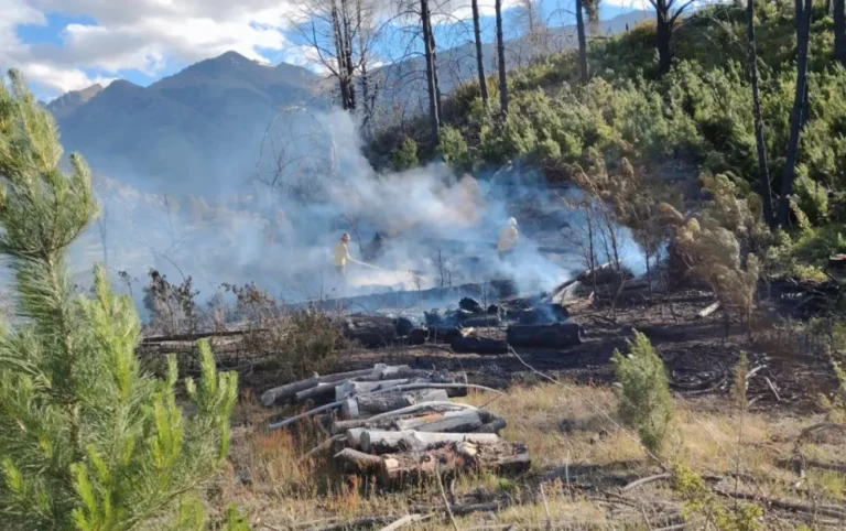 El Bolsón: El SPLIF extinguió todos los incendios en la jurisdicción