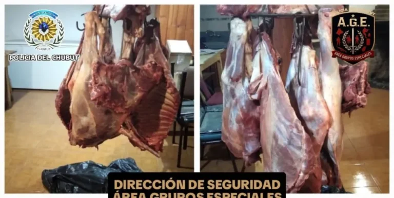 Secuestran carne faenada en control policial en El Maitén