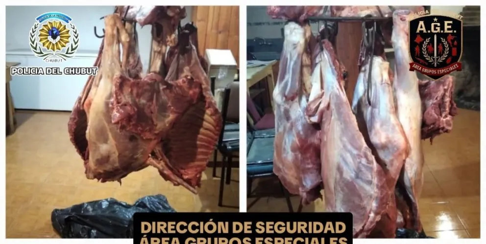 Secuestran carne faenada en control policial en El Maitén