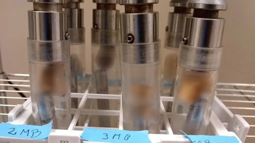 CONICET: hallan huella genética propia de 8.500 años en Argentina