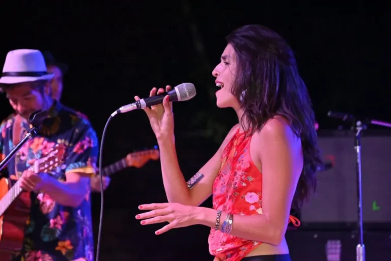 Convocatoria abierta para proyectos musicales en Chubut  