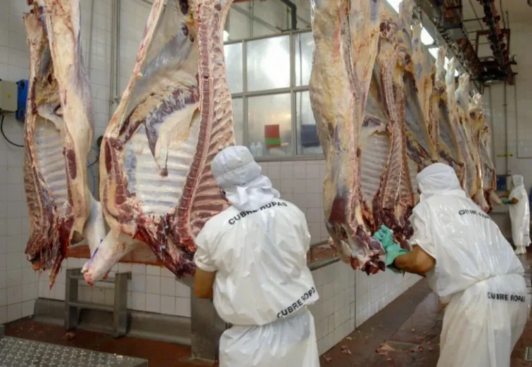 La exportación de carne vacuna alcanza record histórico