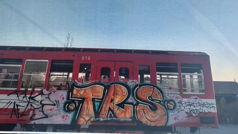 La Policía Federal desarticuló una banda que vandalizaba trenes en Buenos Aires