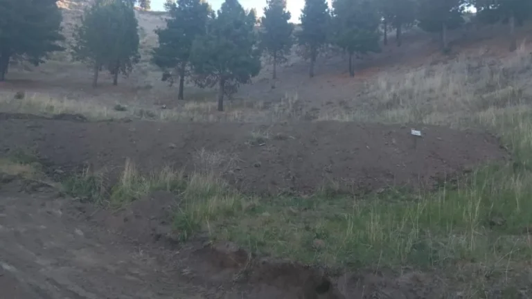 Desalojaron una ocupación ilegal en el camino al Cerro La Cruz en Esquel