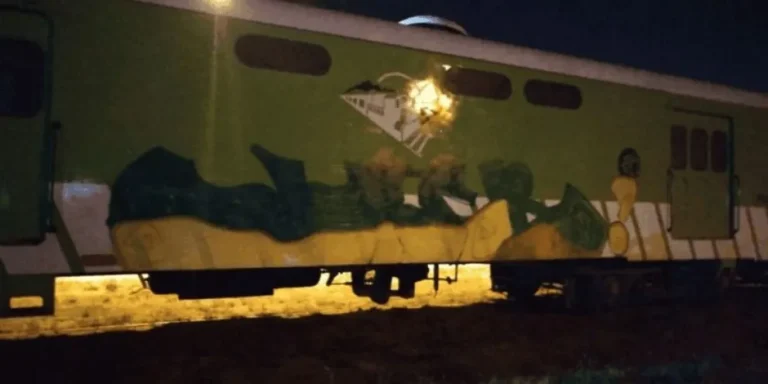 Detuvieron a un hombre acusado de vandalizar vagones del Tren Patagónico
