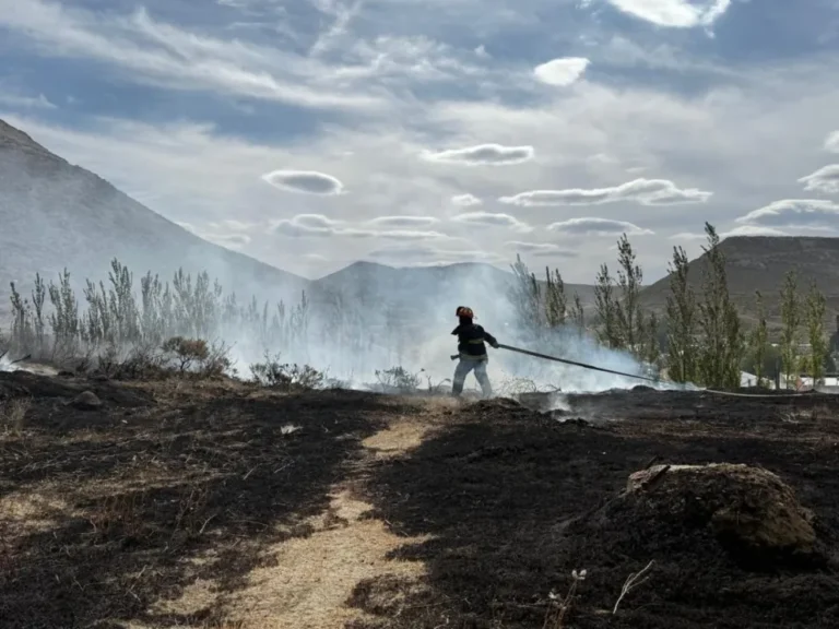 Un importante incendio afectó al predio anexo de la Asociación San David