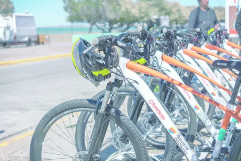 Nuevo servicio de bicicletas para la temporada 2025/2026 en Playa Unión