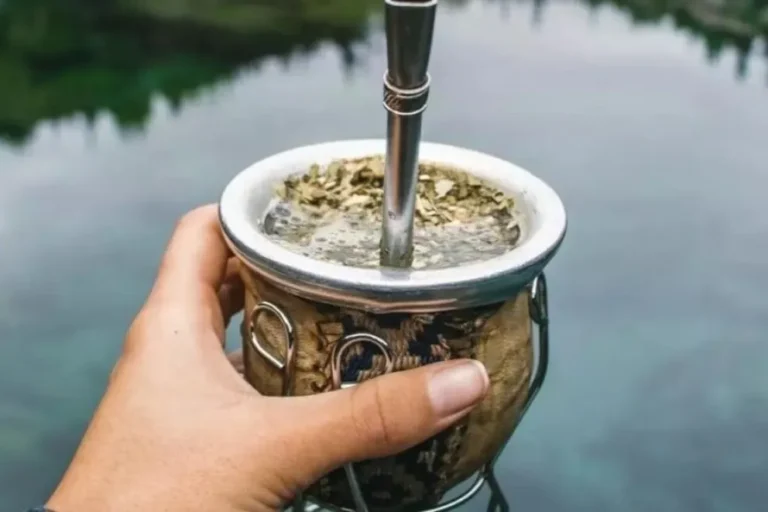 Día Nacional del Mate: Argentina celebra su infusión más tradicional