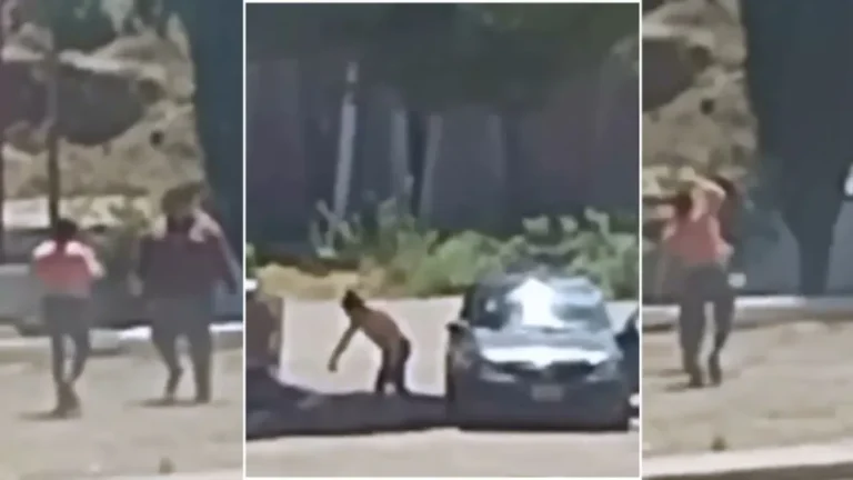 Una mujer le dio una golpiza a un hombre en la vía pública