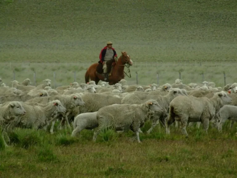 Despoblamiento rural y crisis de consumo, las preocupaciones de la Rural de Comodoro