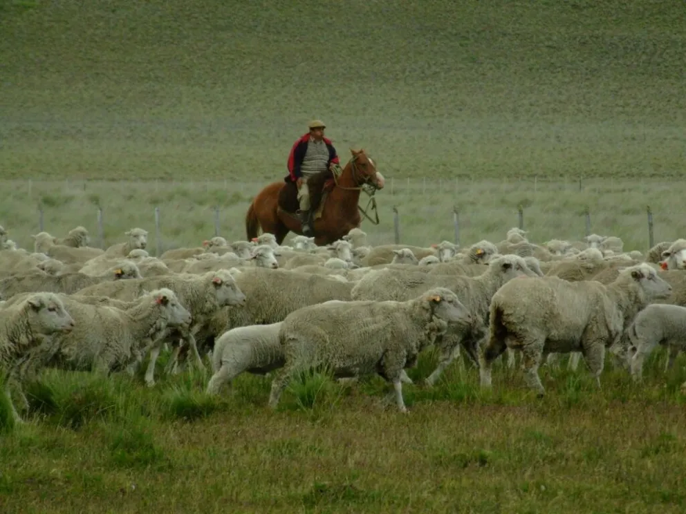 Despoblamiento rural y crisis de consumo, las preocupaciones de la Rural de Comodoro