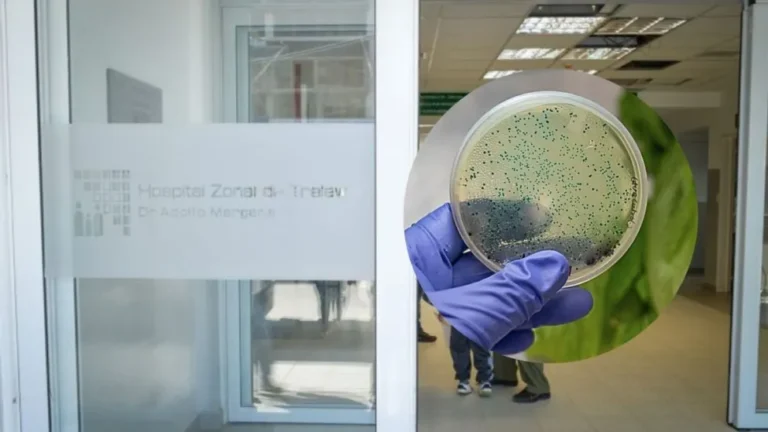 La bacteria que está en los alimentos y amenaza con propagarse en Trelew
